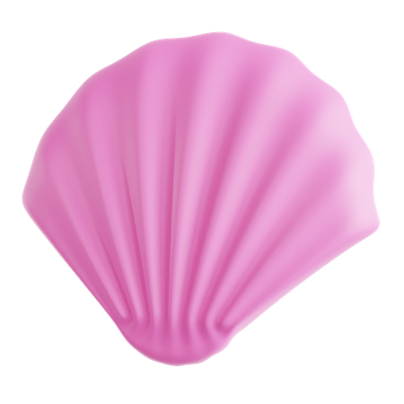 Seashell  3D Icon