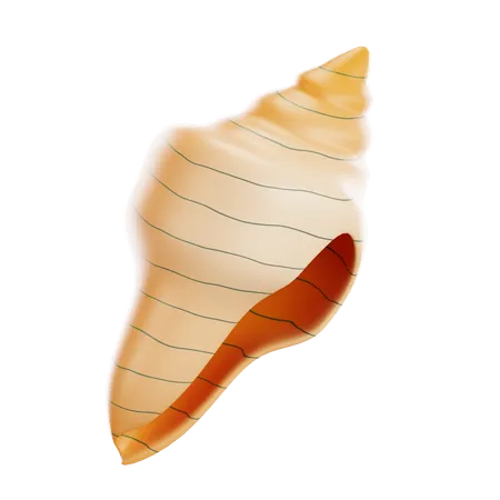 Cute Shellfish Tropical Shell Underwater Icon Seashell Summer Symbol Concept 3 D Illustration Object Isolated On Transparent Background 3D Icon