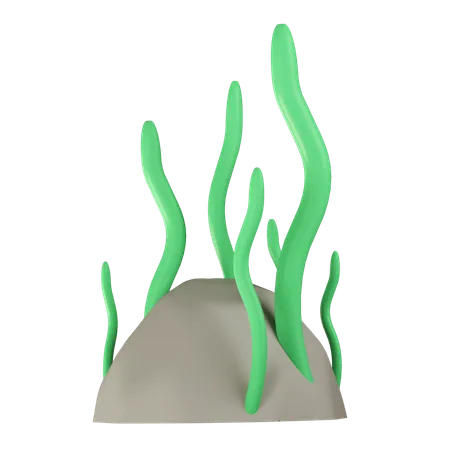 Seaweed Illustration In 3 D Design 3D Icon