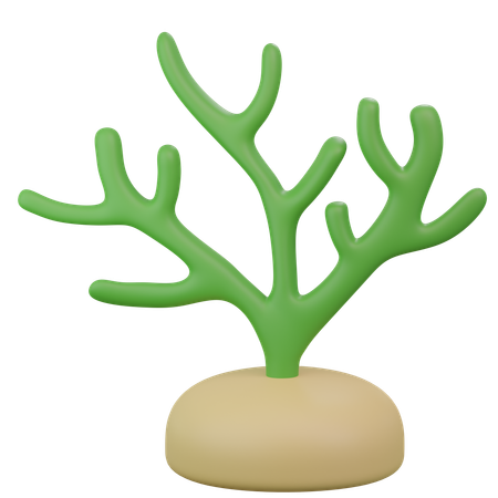 Seaweed  3D Icon