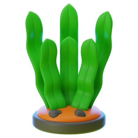 SEAWEED  3D Icon