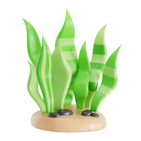 Seaweed  3D Icon