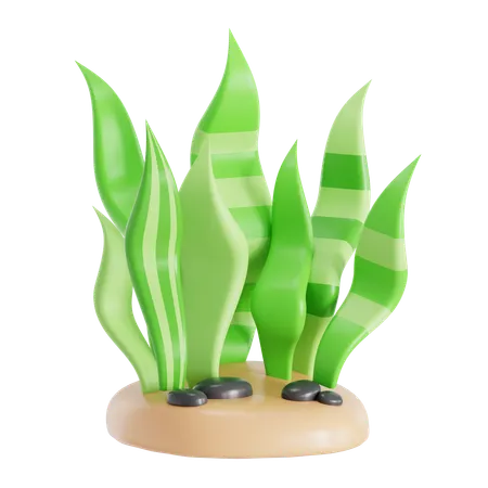 Seaweed  3D Icon