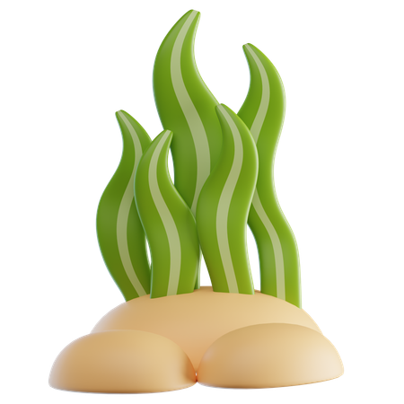 Seaweed  3D Icon