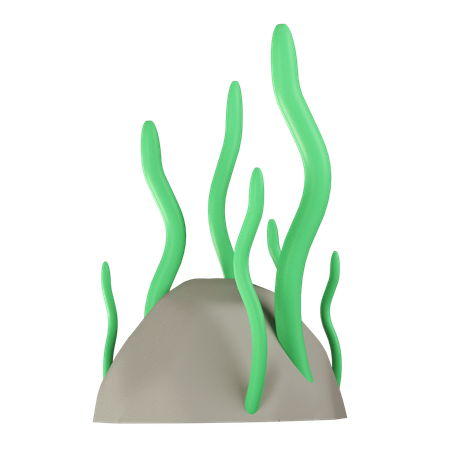 Seaweed  3D Icon