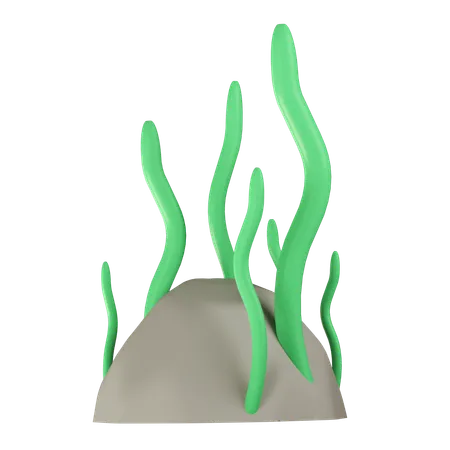 Seaweed  3D Icon