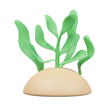 Seaweed  3D Icon