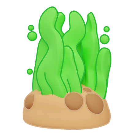 Seaweed  3D Icon