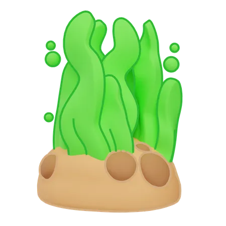 Seaweed  3D Icon