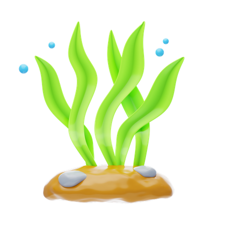 Seaweed  3D Icon