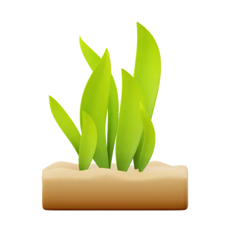 Seaweed  3D Icon