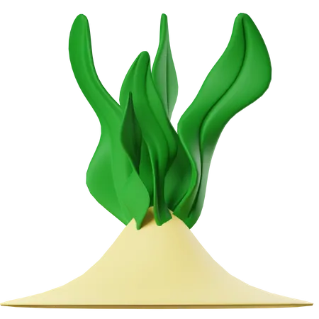 Seaweed  3D Icon