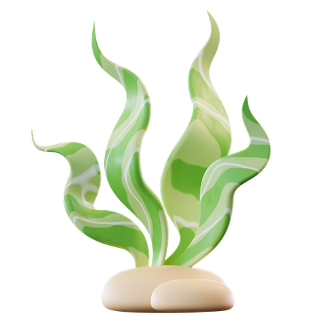 Seaweed  3D Icon