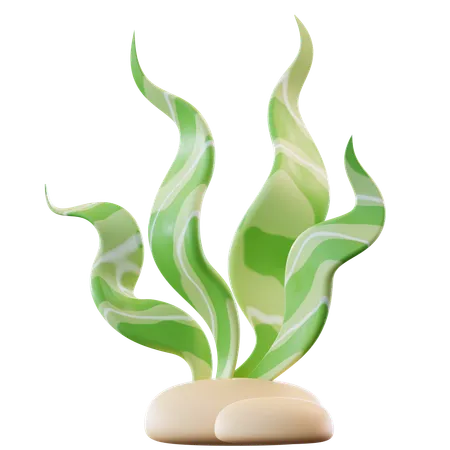 Seaweed  3D Icon