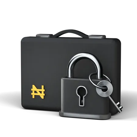 Secure Bag  3D Icon