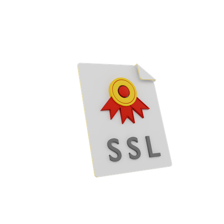 Secure Socket Layer  3D Icon