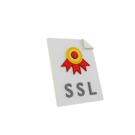 Secure Socket Layer  3D Icon