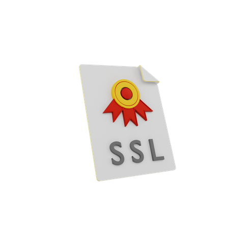 Secure Socket Layer  3D Icon