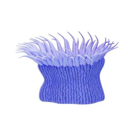 Seeanemone  3D Icon