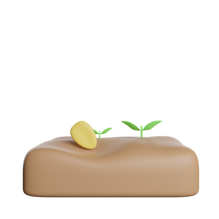 Seed Plant  3D Icon