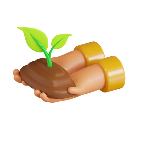 Seed Plant  3D Icon