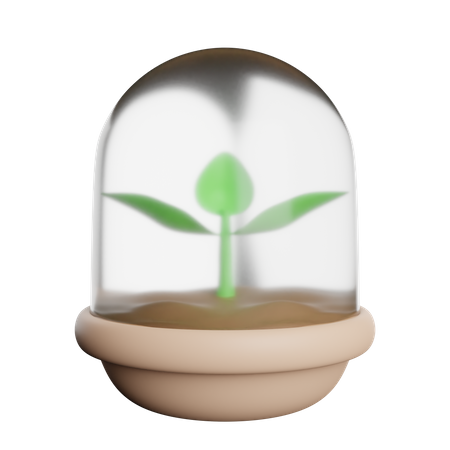 Seeder Starter  3D Icon