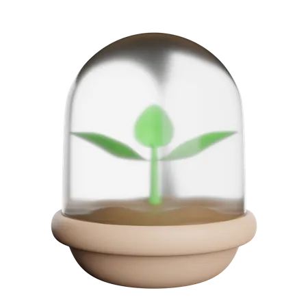 Seeder Starter  3D Icon