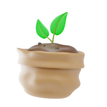 Seedling  3D Icon