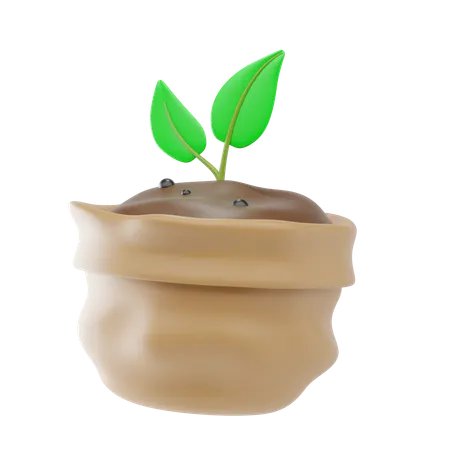 Seedling  3D Icon