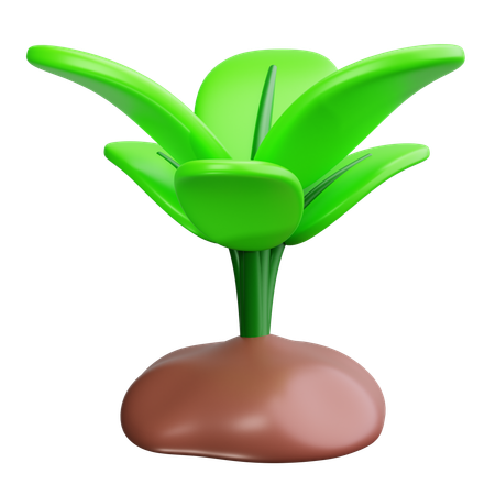 Seedling  3D Icon