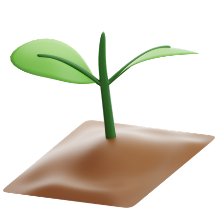 Seedlings  3D Icon