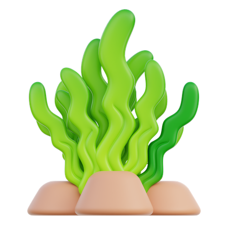 Seegras  3D Icon