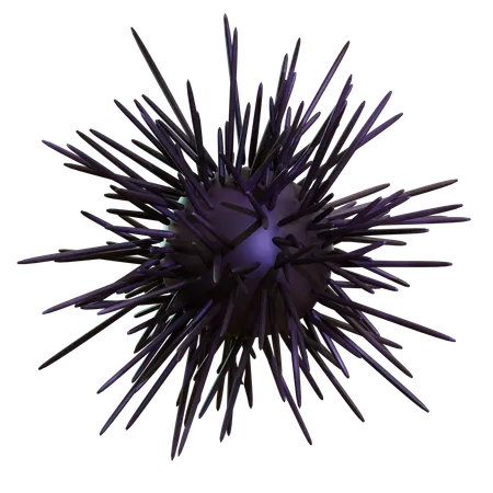 Seeigel  3D Icon