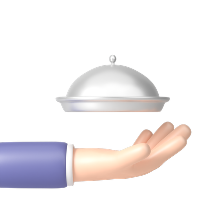 Mão segurando um prato com tampa  3D Icon