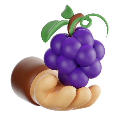 Segurando uvas  3D Icon