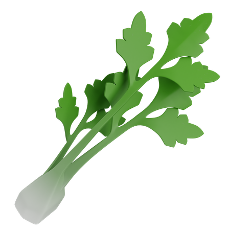 Sellerie  3D Icon
