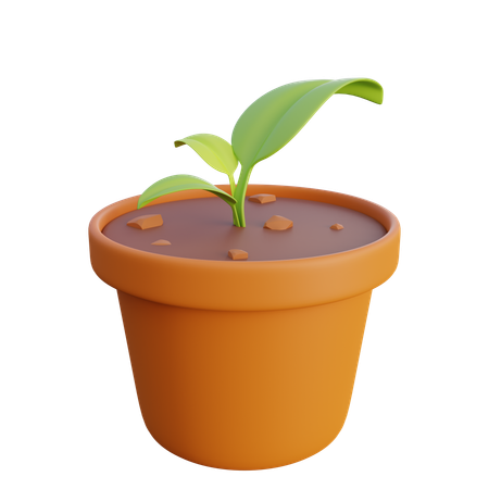 Sementes de plantas e vasos  3D Icon