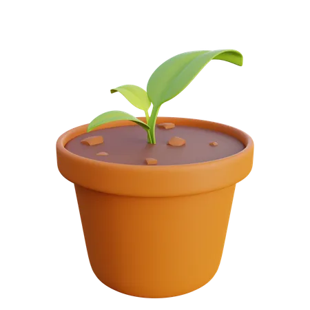 Sementes de plantas e vasos  3D Icon