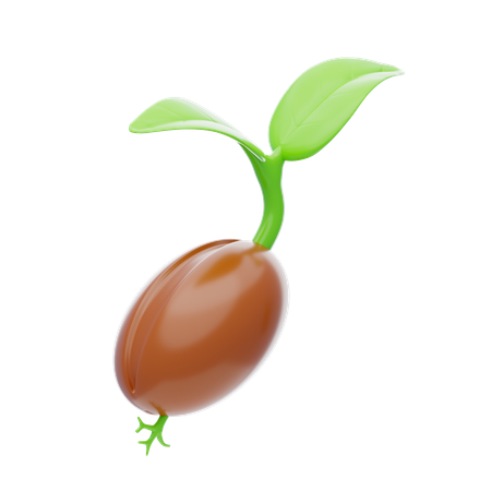 Semilla  3D Icon