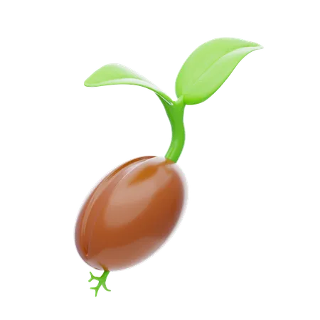 Semilla  3D Icon