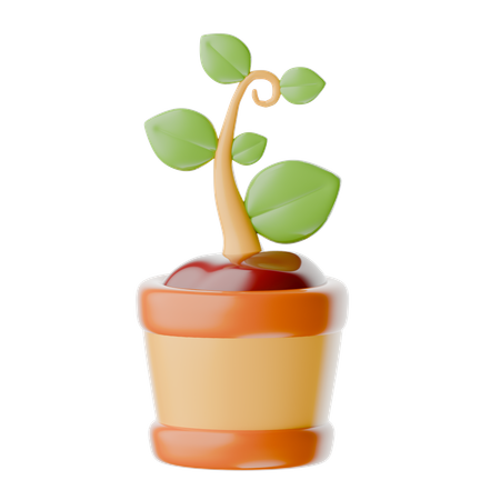 Semilla  3D Icon