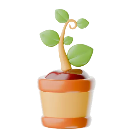 Semilla  3D Icon
