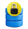 Server Lock