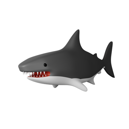 292 Angry Shark Decal Images, Stock Photos, 3D objects, & Vectors