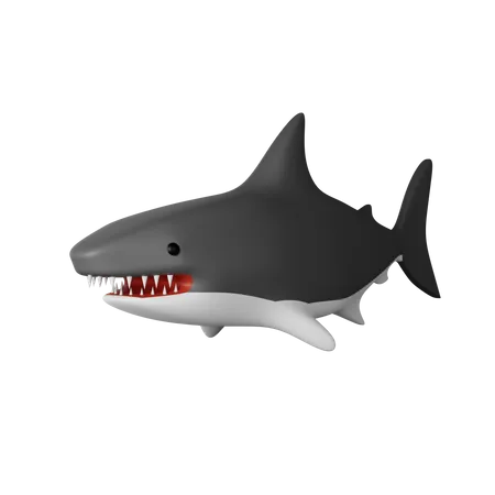 Shark  3D Icon