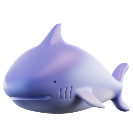 Shark  3D Icon