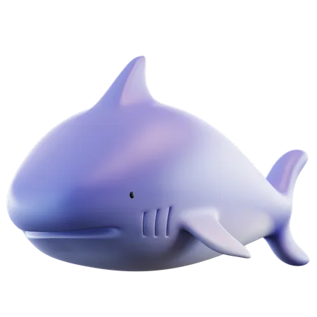 Shark  3D Icon