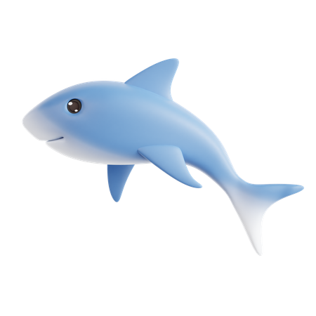 Shark  3D Icon