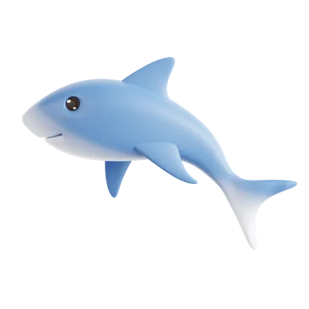 Shark  3D Icon