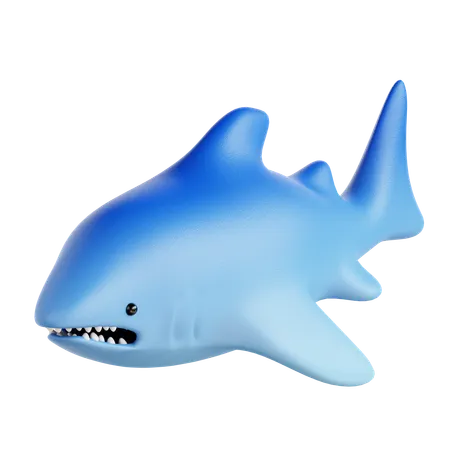 Shark  3D Icon